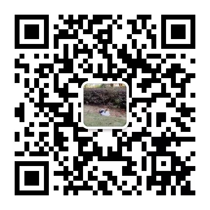 위챗 공식 계정 “qqling的AI小院” QR 코드